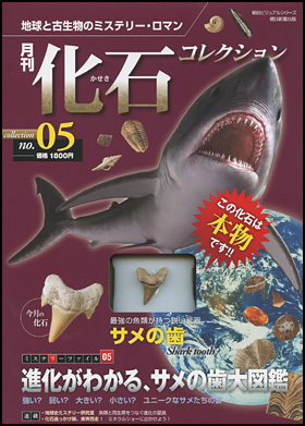 月刊 化石コレクション　no.5