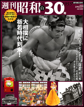 11号