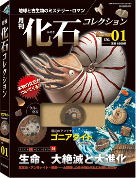 月刊 化石コレクション