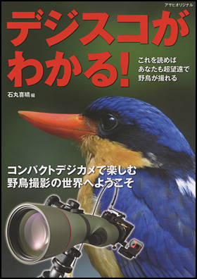 デジスコがわかる！