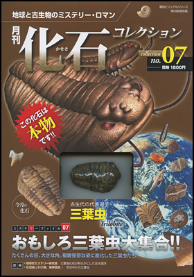 月刊 化石コレクション　no.7