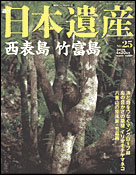25号