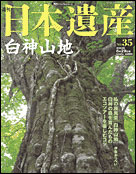 35号