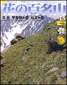 15号