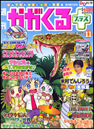 11号