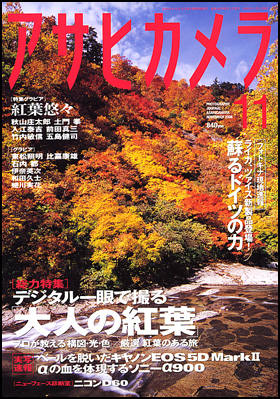 2008年11月号