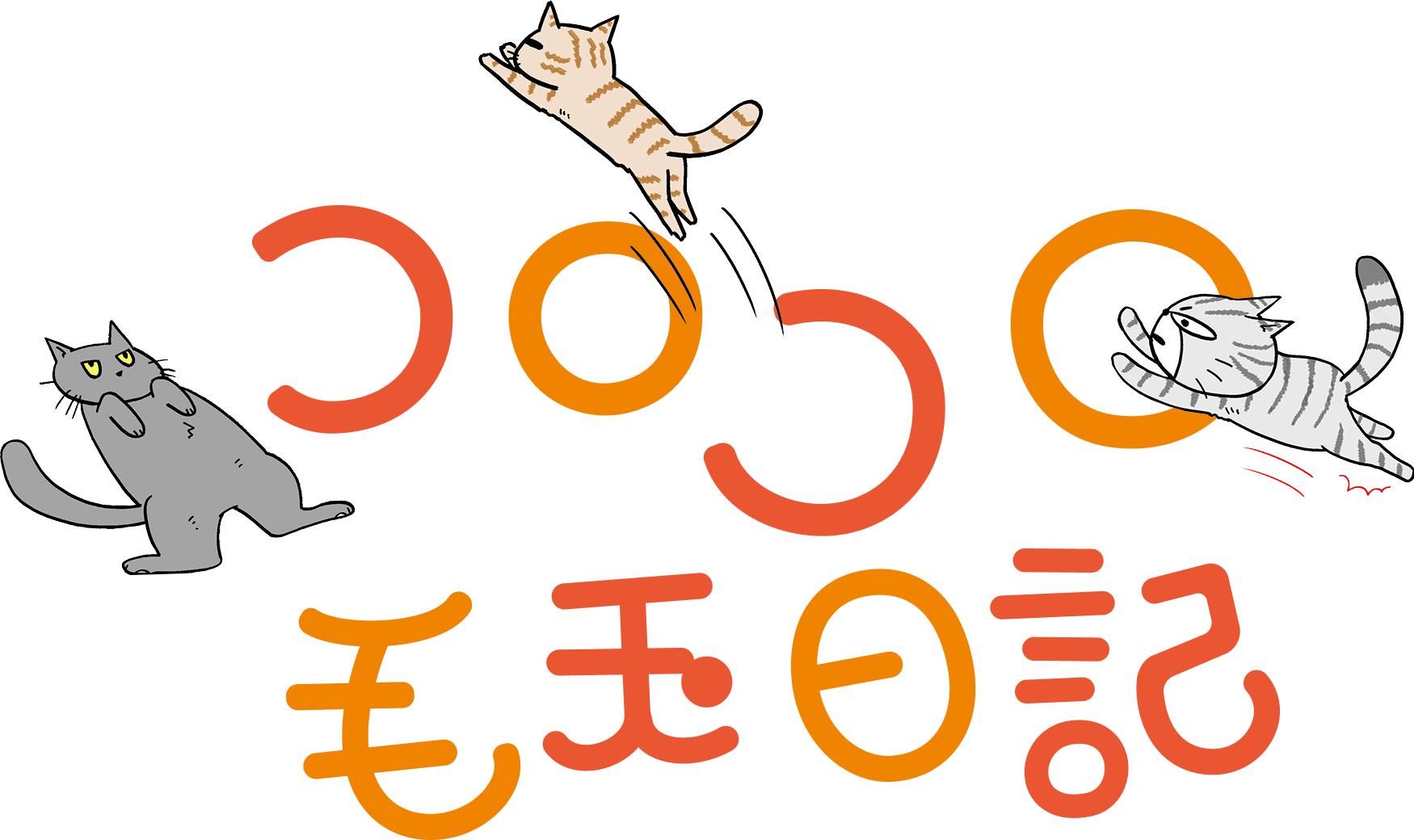 コロコロ毛玉日記