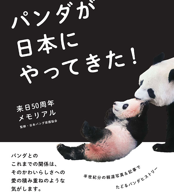 来日50周年メモリアル パンダが日本にやってきた！ 表紙
