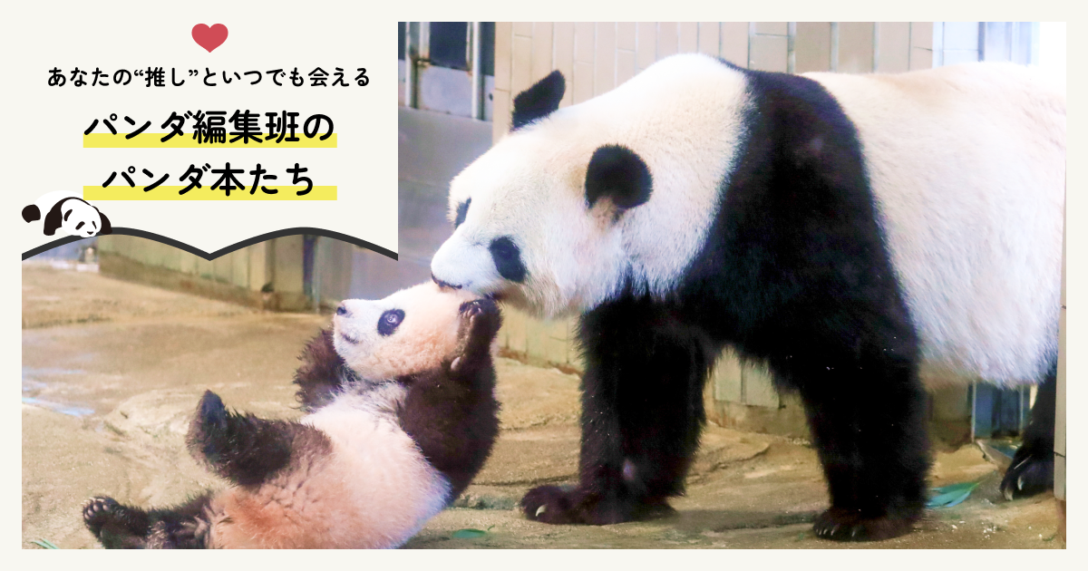 あなたの“推し”といつでも会えるパンダ編集班のパンダ本たち | 朝日