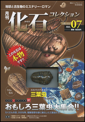 月刊化石コレクション no.1〜no.3―地球と古生物のミステリー・ロマン-