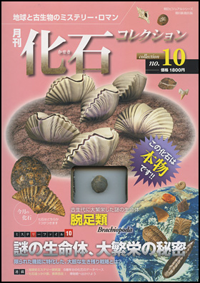 朝日新聞出版 最新刊行物：別冊・ムック：月刊 化石コレクション：月刊