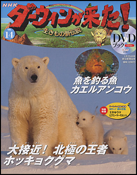 朝日新聞出版 最新刊行物 分冊百科 Nhkダーウィンが来た ｄｖｄブック Nhkダーウィンが来た ｄｖｄブック 14号