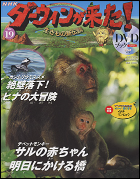 朝日新聞出版 最新刊行物 分冊百科 Nhkダーウィンが来た ｄｖｄブック Nhkダーウィンが来た ｄｖｄブック 19号