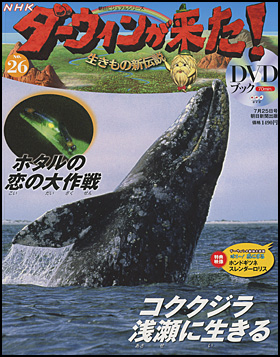 朝日新聞出版 最新刊行物：分冊百科：NHKダーウィンが来た！ＤＶＤ