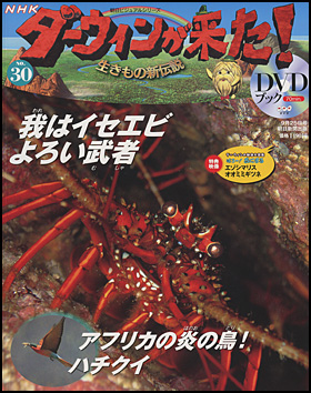 朝日新聞出版 最新刊行物：分冊百科：NHKダーウィンが来た！ＤＶＤ