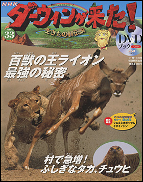 朝日新聞出版 最新刊行物：分冊百科：NHKダーウィンが来た！ＤＶＤ