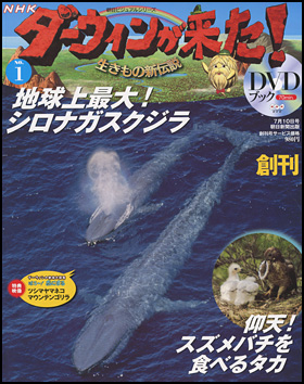 1号（創刊号）　シロナガスクジラ／ハチクマ