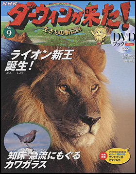 9号　ライオン／カワガラス