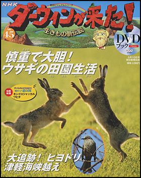 45号　ノウサギ／ヒヨドリ