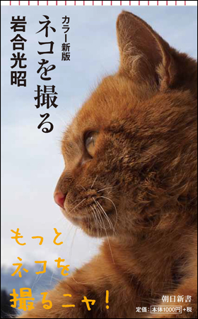 カラー新版　ネコを撮る
