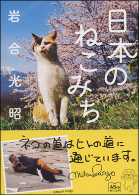 日本のねこみち