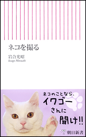 ネコを撮る