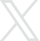 x icon