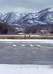 北海道