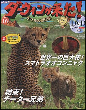 朝日新聞出版 最新刊行物：NHKダーウィンが来た！ＤＶＤブック：NHK 