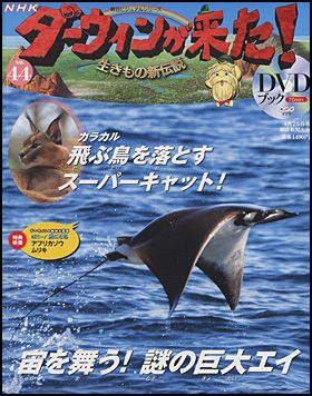 朝日新聞出版 最新刊行物：NHKダーウィンが来た！ＤＶＤブック：NHK 